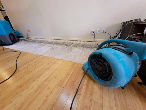 Professional Structural Drying technician working in Springport, IN